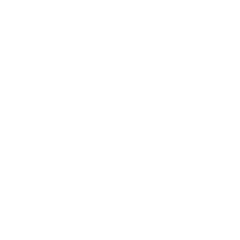 US Institute of Diplomacy and Human Rights Certified AI Consultant badge